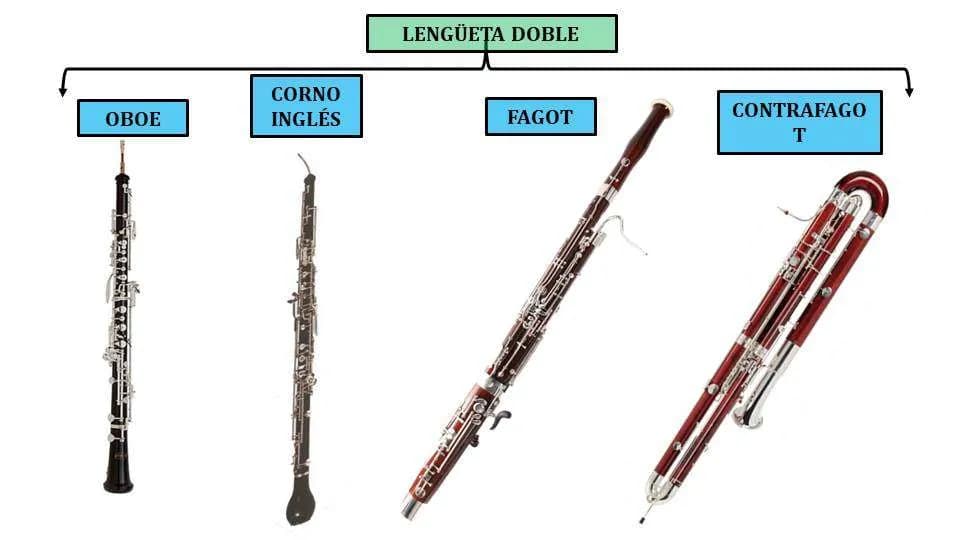 Fagot jaki to instrument – odkryj jego unikalne cechy i rolę w muzyce
