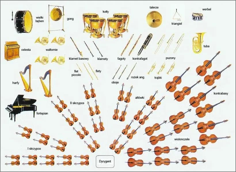 Orkiestra smyczkowa jakie instrumenty? Odkryj ich unikalne role i brzmienie