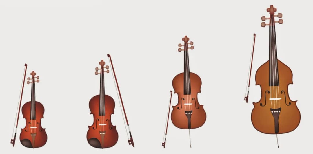 Czym się różni altówka od skrzypiec? Kluczowe różnice, które musisz znać