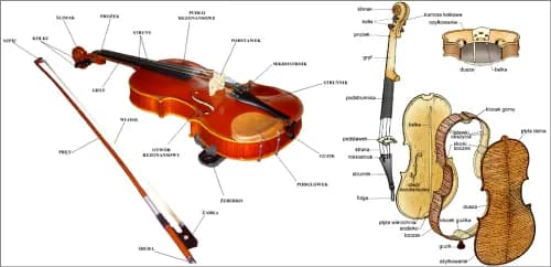 Część skrzypiec nad którą umieszczone są struny - kluczowe informacje