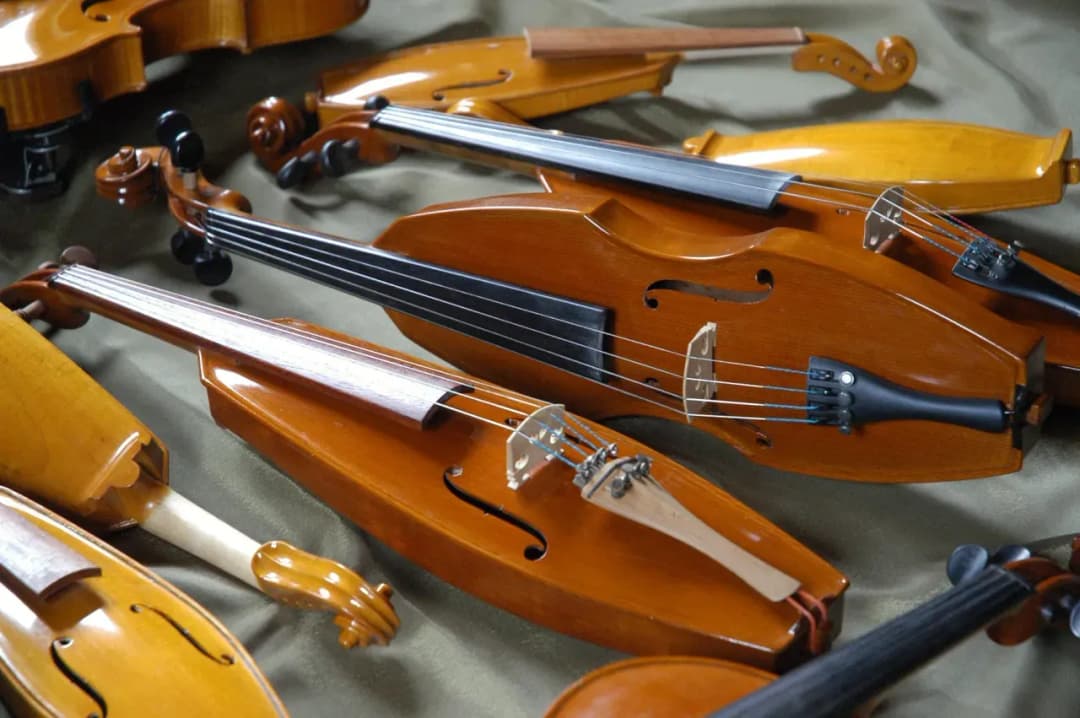 Jak się nazywają góralskie skrzypce i ich niezwykła historia